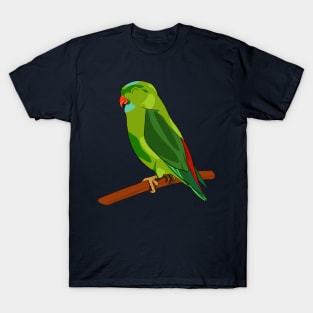 Companion No 7 - Full Color T-Shirt